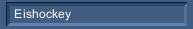 Eishockey
